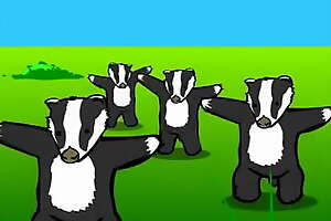 badgers song